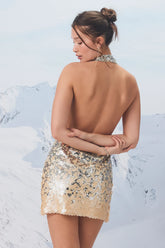 Rivera Silver and Beige Sequin Cowl Neck Mini Dress