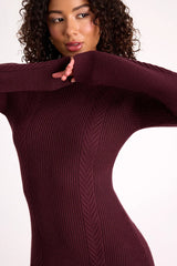 Selene Burgundy Ribbed Mock Neck Sweater Mini Dress